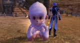 Macaco da Neve Bebê – Pet Ornamental