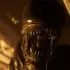 Gravuras Avançadas de Perfect World
