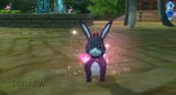 Coelho Anko – Pet Ornamental